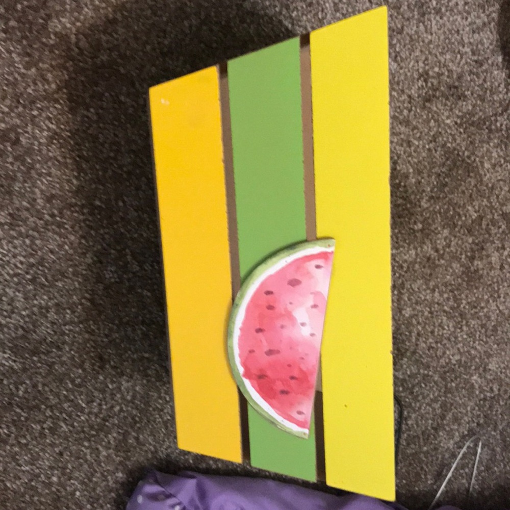 Little watermelon bucket for bathroom